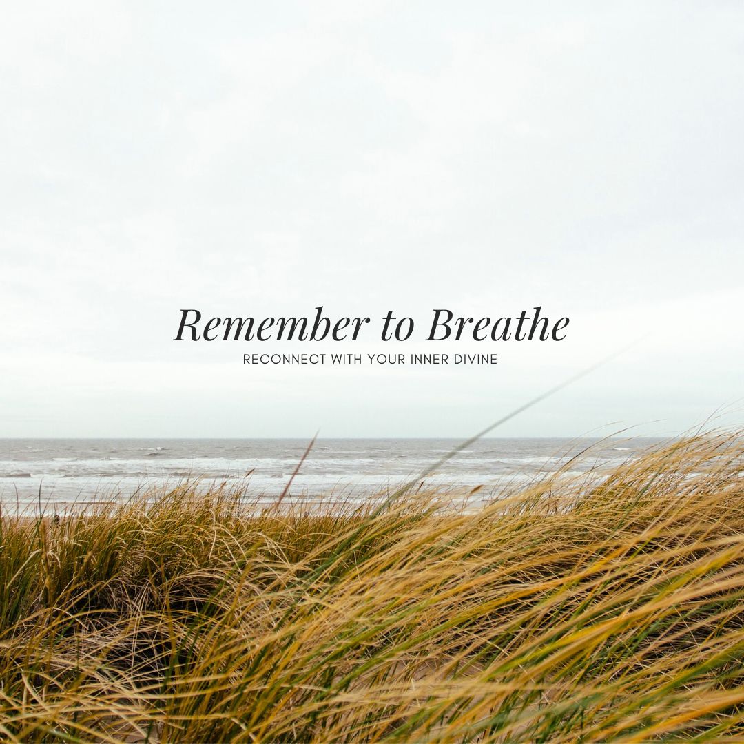 Wellness Retreat